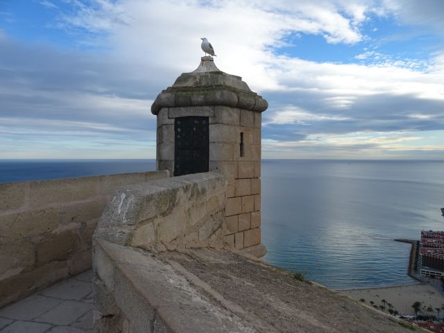 Alicante